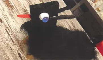 Zwart beest met rode snavel