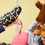 meervoudige handicap 